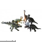 Neat-Oh! Museum Quality Dinosaur 5 piece set  B01LWUTR2D